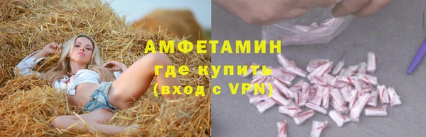 винт Алзамай